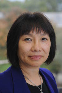 Rita Chi-Ying Chung Professor, Counseling and Development Program