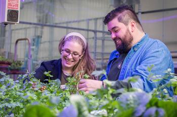 People work together in the greenhouse on campus